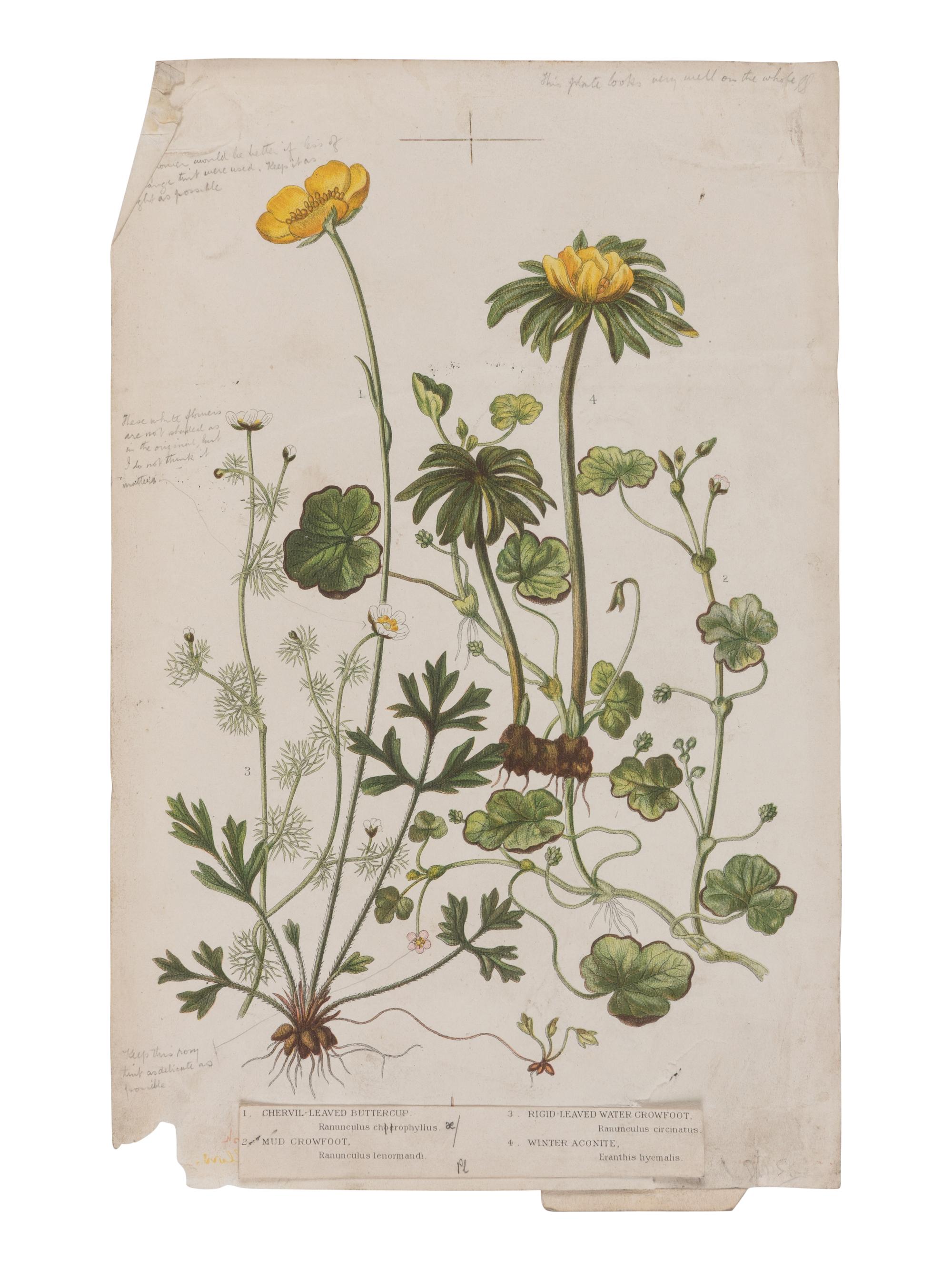 [NATURAL HISTORY]. KIRBY, William Forsell (1844-1912), et al. Lloyd’s Natural History... London: Edward Lloyd, 1896-97.