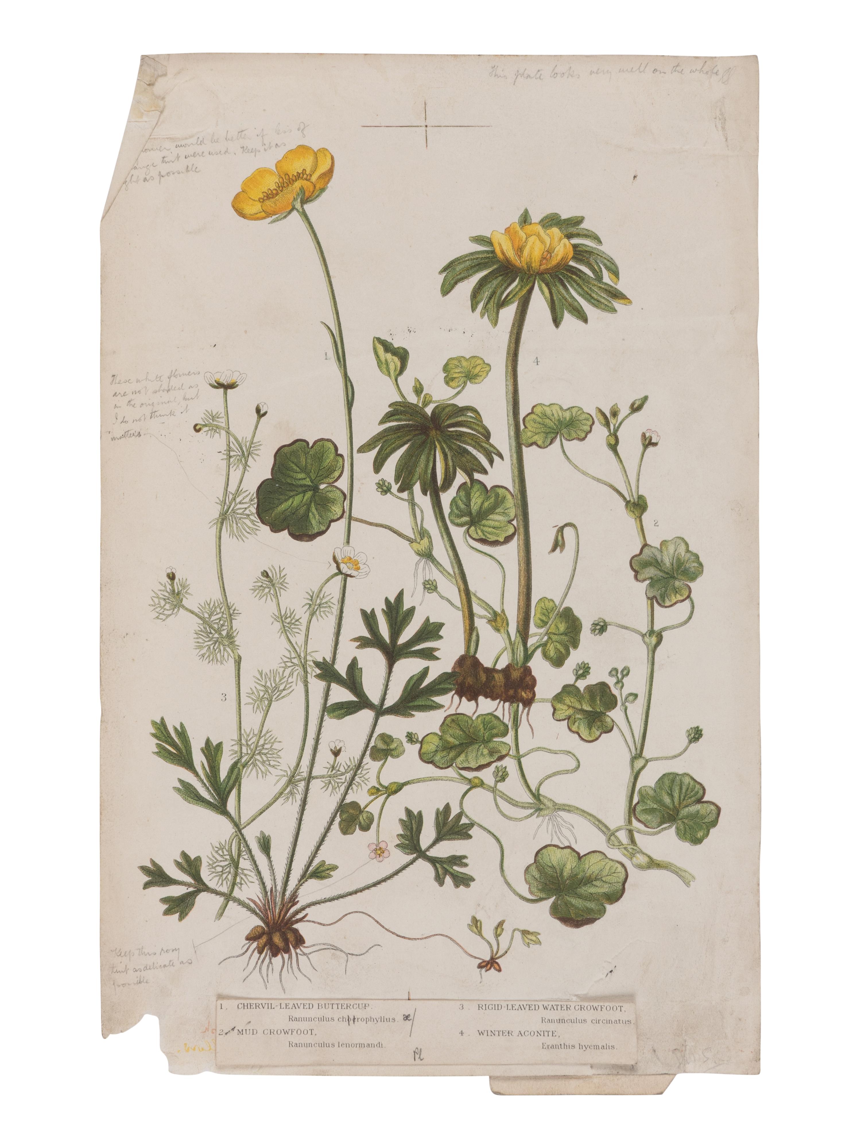 [NATURAL HISTORY]. KIRBY, William Forsell (1844-1912), et al. Lloyd’s Natural History... London: Edward Lloyd, 1896-97.