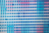 Untitled (Agamograph)