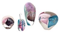 A Collection of American Studio Art Glass Articles Height of tallest 7 1/4 inches. — JAMES WILBAT