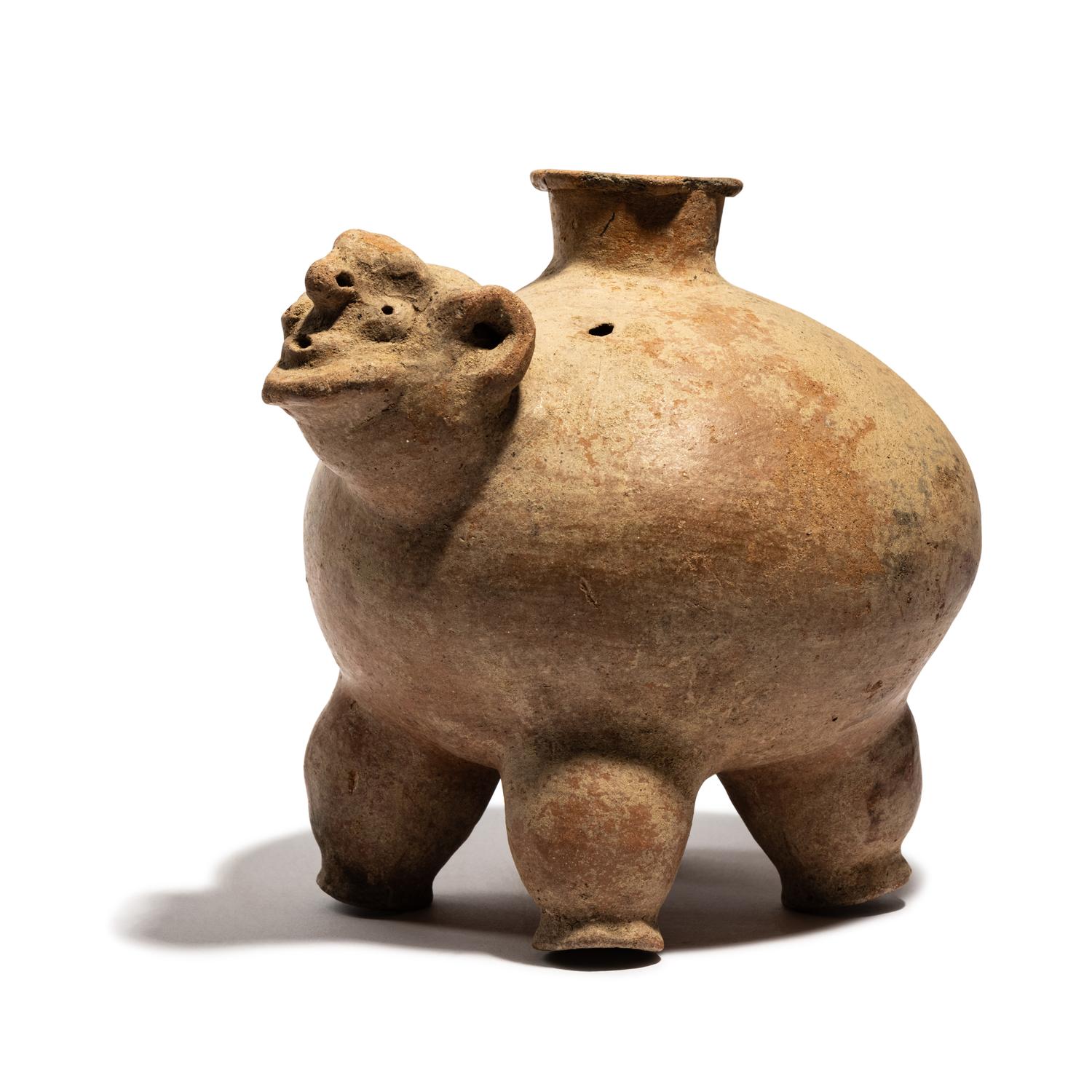 A Tairona Effigy Vessel in the Shape of a Turtle