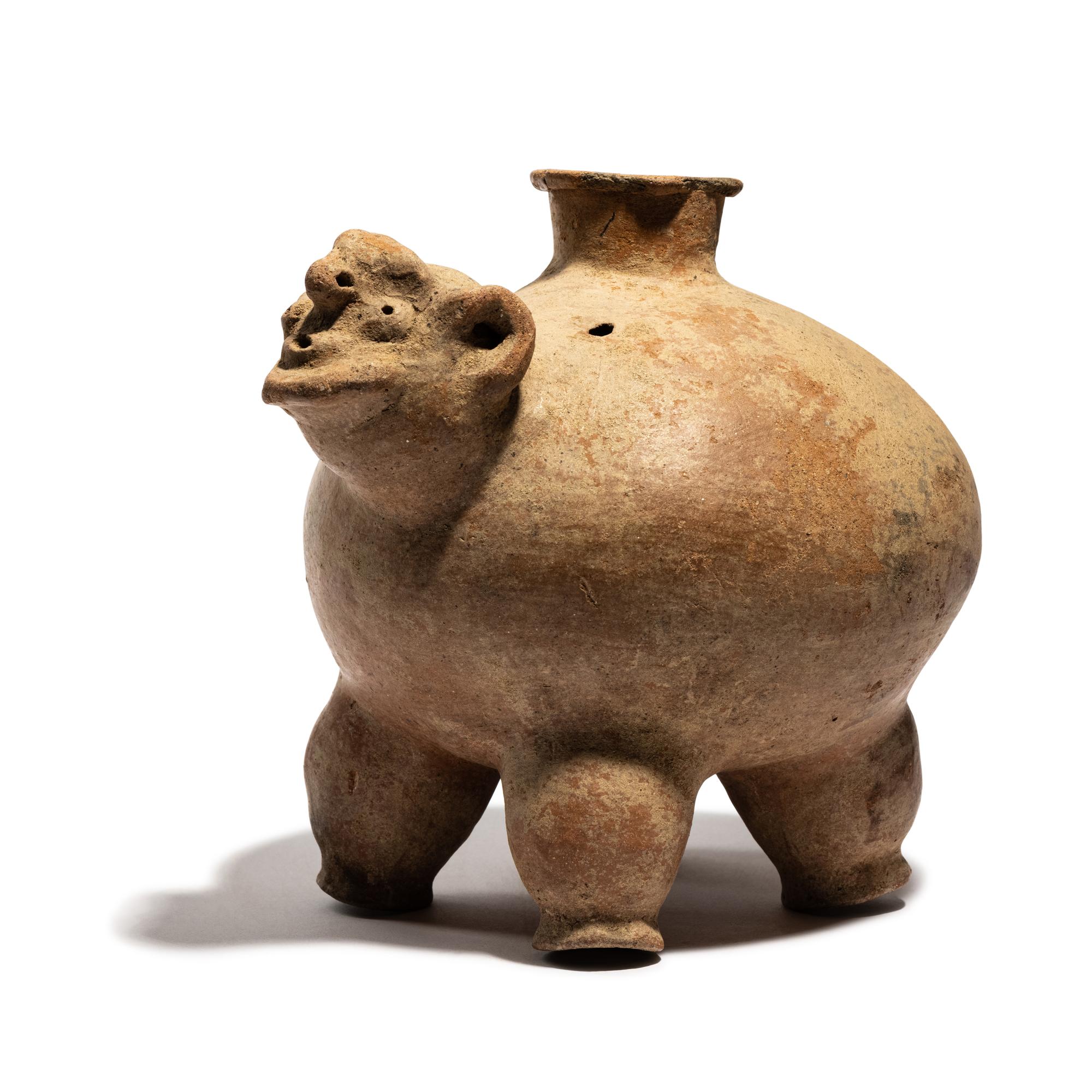 A Tairona Effigy Vessel in the Shape of a Turtle
