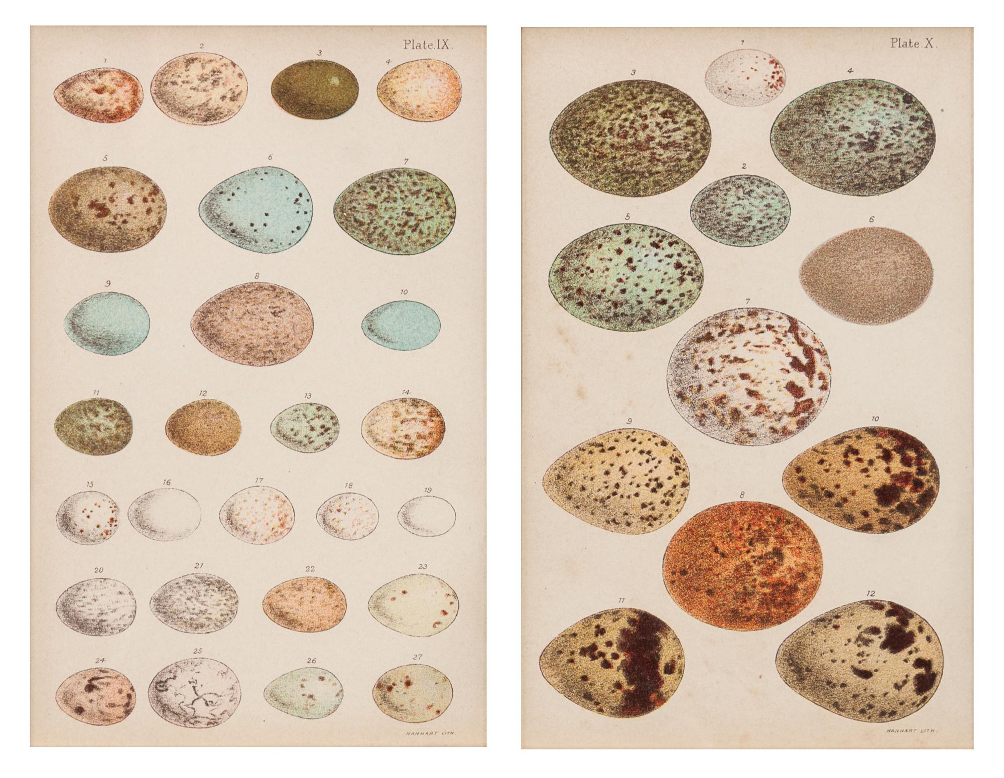 A Group of Four Decorative Prints Height of largest frame 25 x width 21 1/2 inches. — 20TH CENTURY