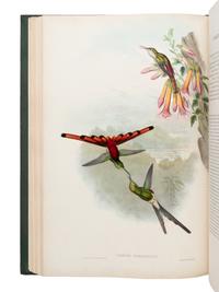 [NATURAL HISTORY]. GOULD, John (1804-1881). A Monograph of the Trochilidae, or Family of Humming-Birds . London: Taylor and Francis for the Author, [1849-] 1861.