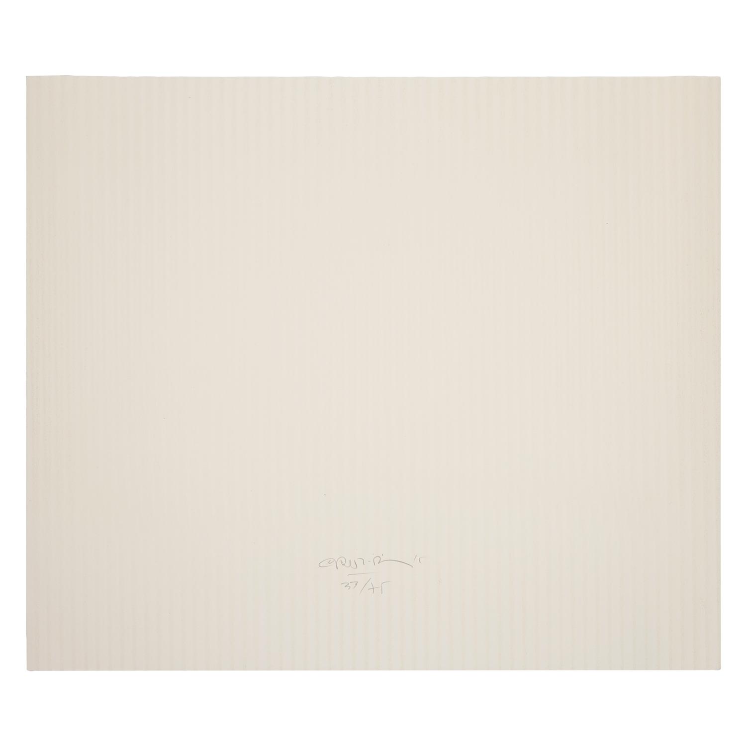 Inducción Cromática a Doble Frecuencia (from Serie Caura Permutación 7), 2015