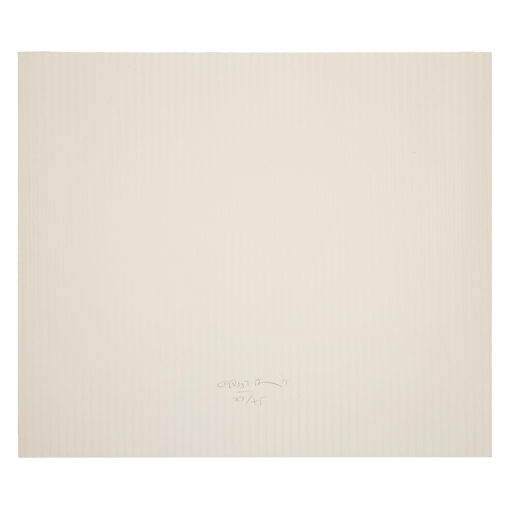 Inducción Cromática a Doble Frecuencia (from Serie Caura Permutación 7), 2015