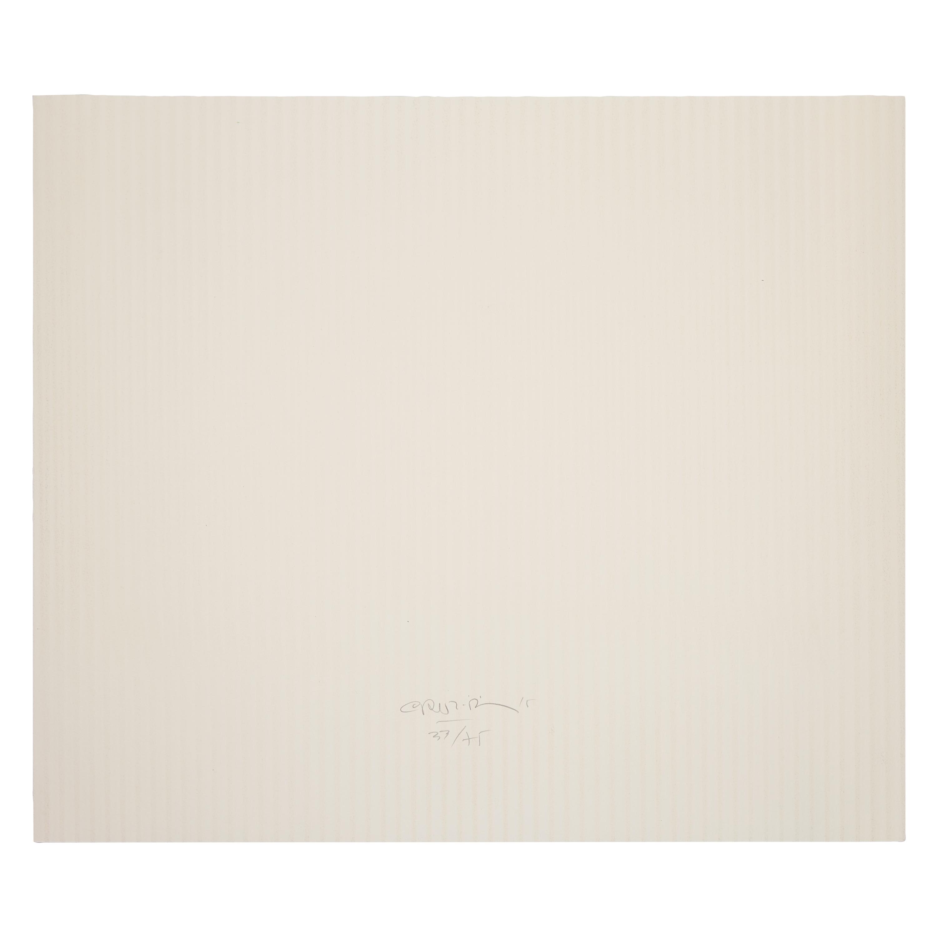 Inducción Cromática a Doble Frecuencia (from Serie Caura Permutación 7), 2015