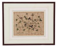 A Collection of Twelve Botanical Engravings Largest framed dimensions 27 x 9 inches. — 19TH/20TH CENTURY