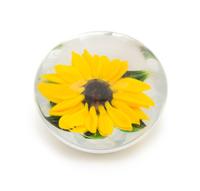 Rick Ayotte, (American), a sunflower miniature paperweight, 2001
