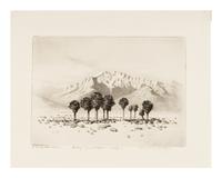 Three Works: Oasis of Seven Palms, Calif-, Palm Springs and Palm Canyon near Palm Springs