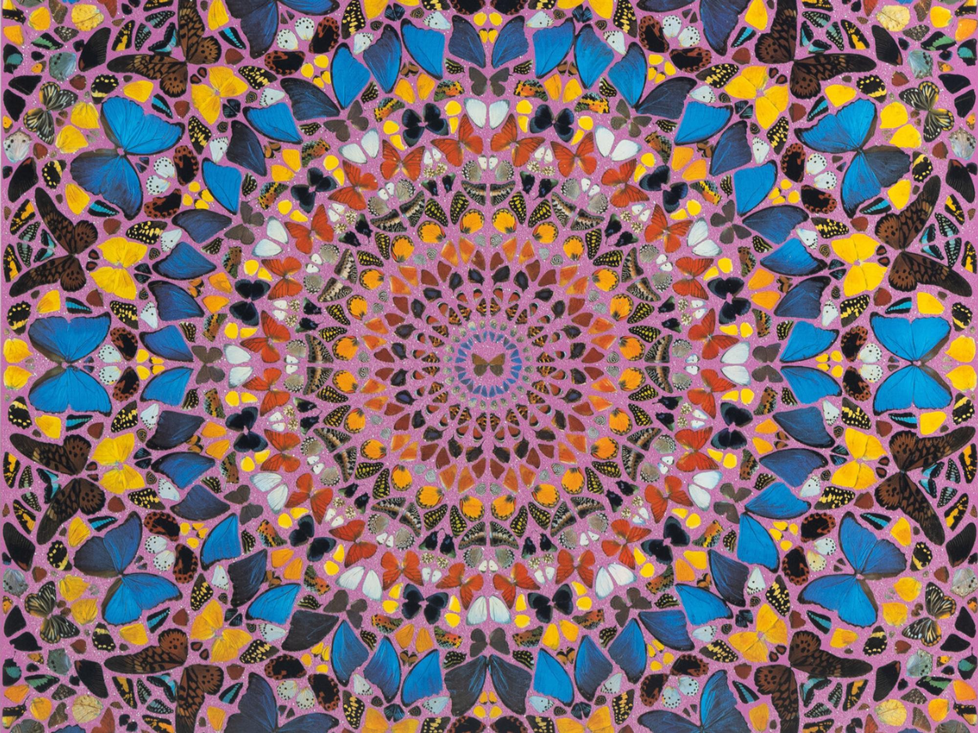 Collect: Prints & Photographs
