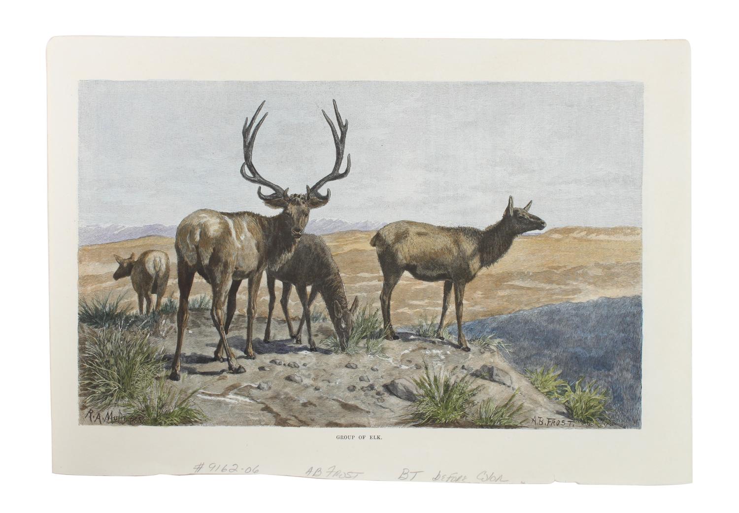 Eight Hand Colored Animal Prints Height 7 1/2 x width 10 3/4 inches (largest) — LATE 19TH/EARLY 20TH CENTURY