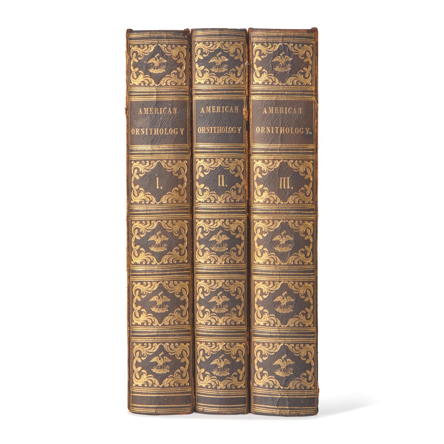 [Natural History] Wilson, Alexander, and Charles Lucian Bonaparte, and Sir William Jardine. American Ornithology; or, The Natural History of the Birds of the United States