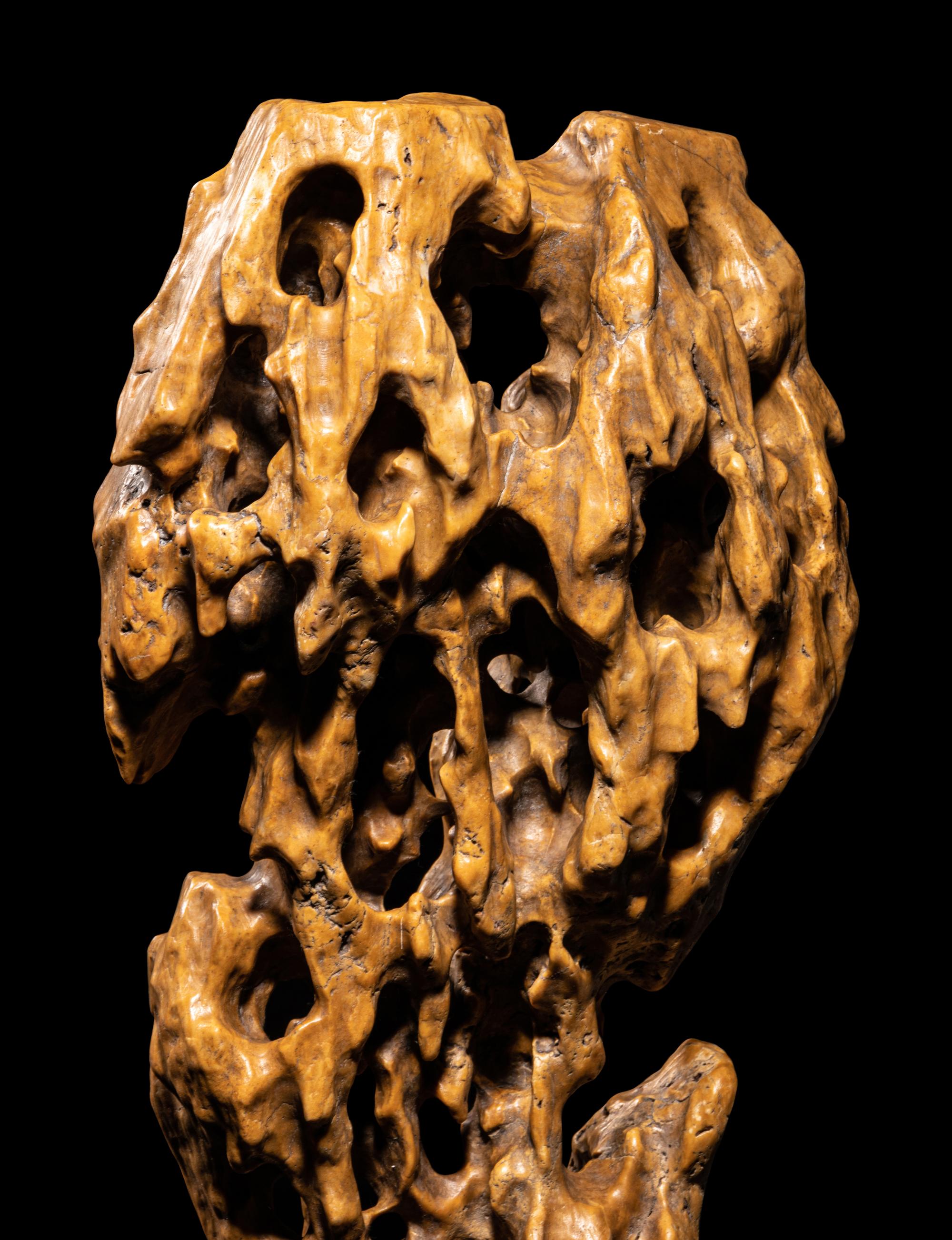 A Chinese Taihu Scholar's Rock