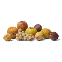 A Group of Nine Pieces of Painted Stone Fruit
