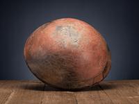 San Lazaro Pueblo Polychrome Pottery Olla