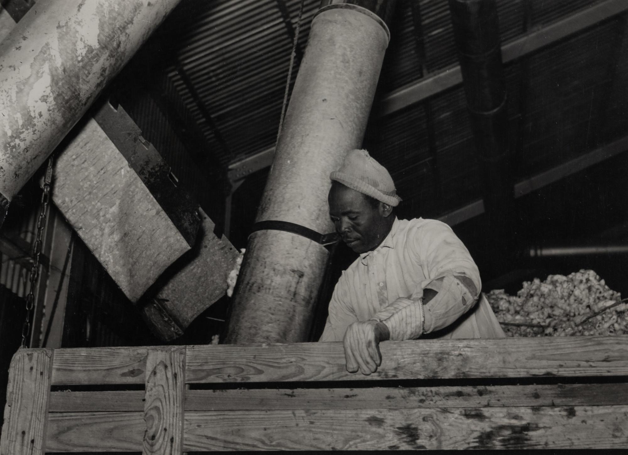 Taking the cotton from the truck into the gin through large metal suction tube. Hopson Plantation. Clarksdale, Miss, 1939
