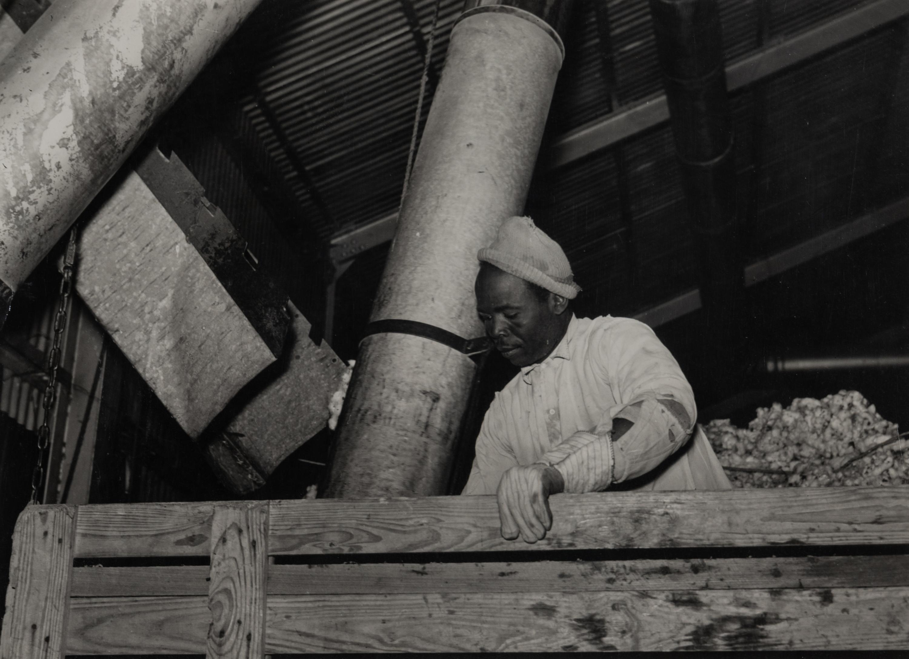 Taking the cotton from the truck into the gin through large metal suction tube. Hopson Plantation. Clarksdale, Miss, 1939