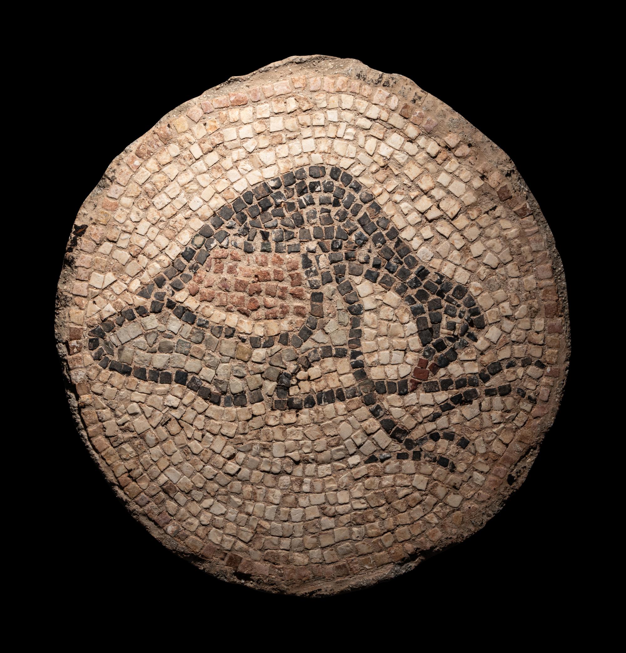 A Roman Mosaic of a Partridge