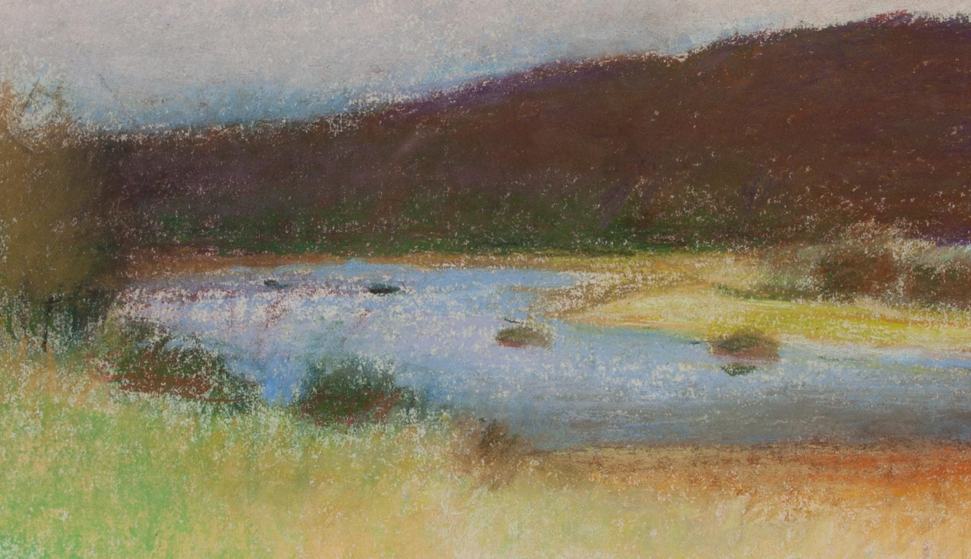 Nature Preserve, Kauai , 1994