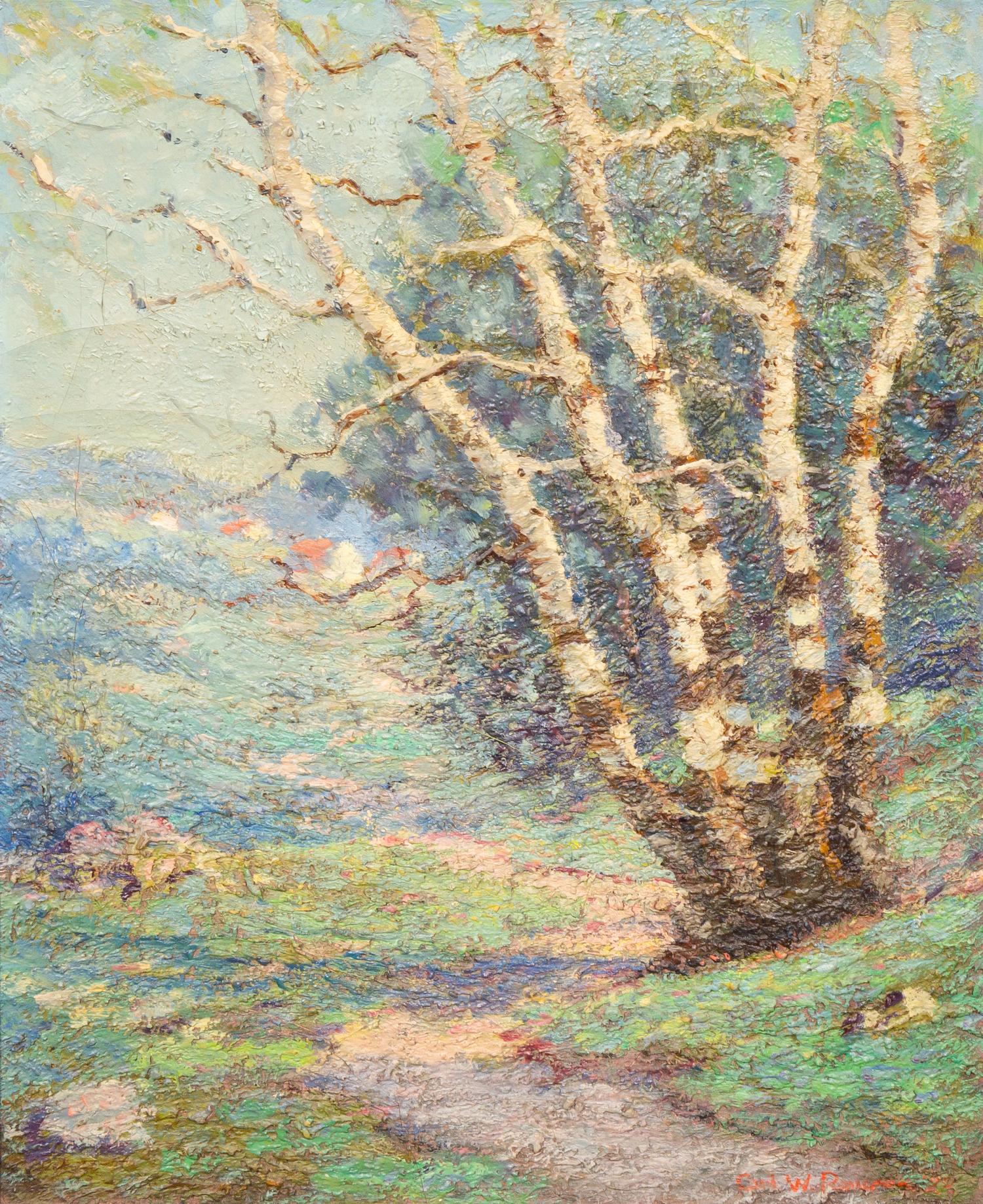 Birch Trees