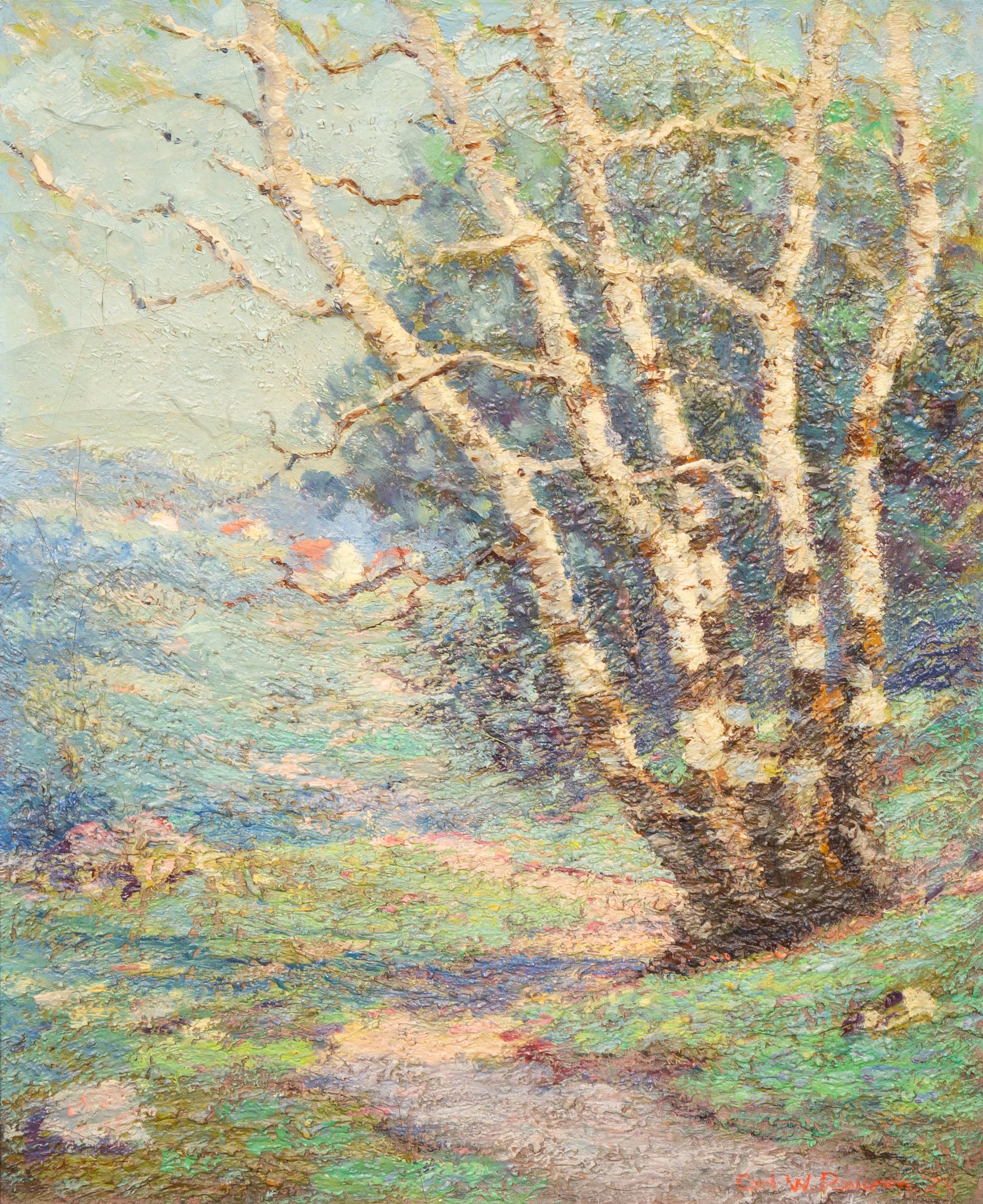 Birch Trees