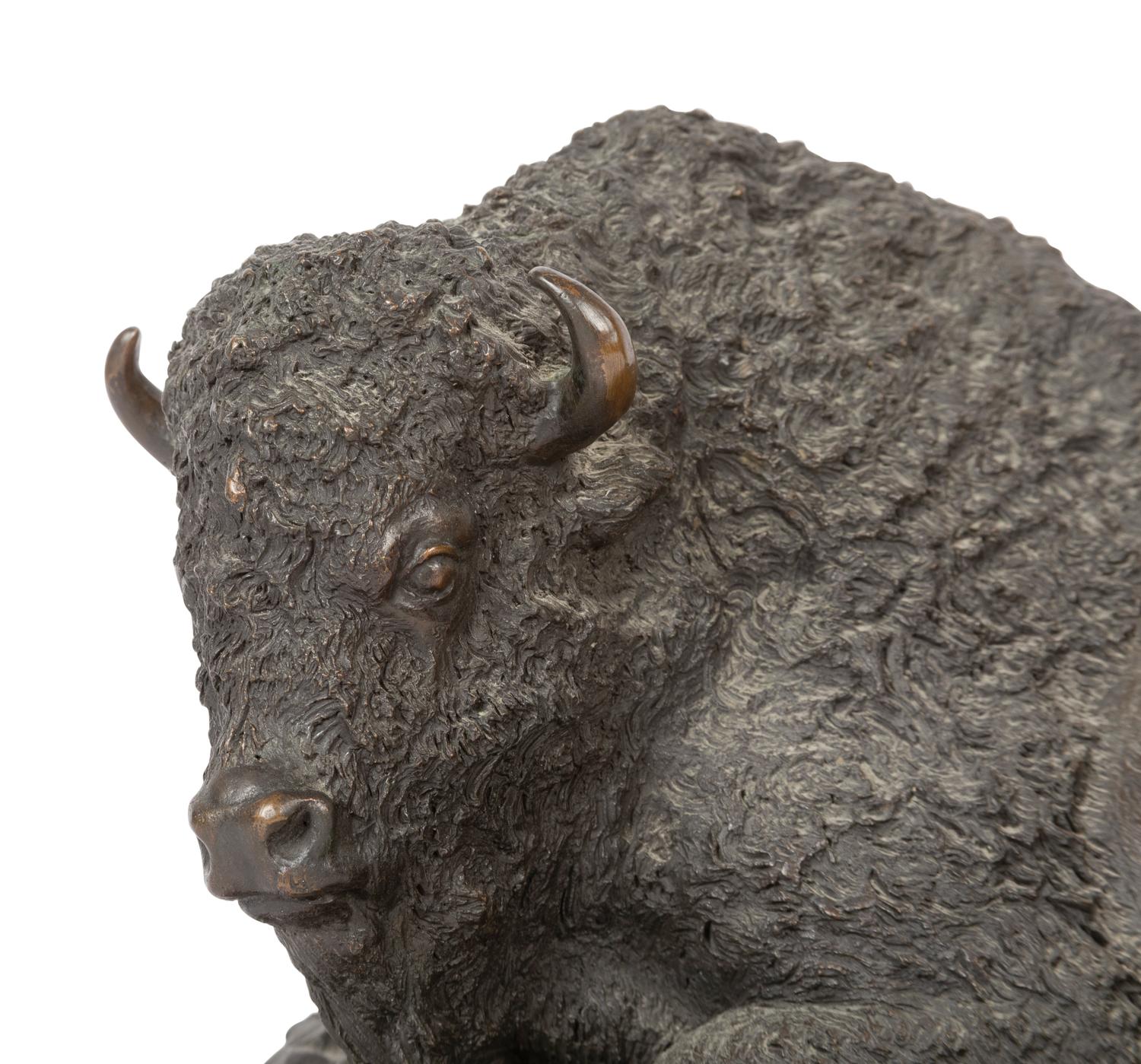 Buffalo , number 7