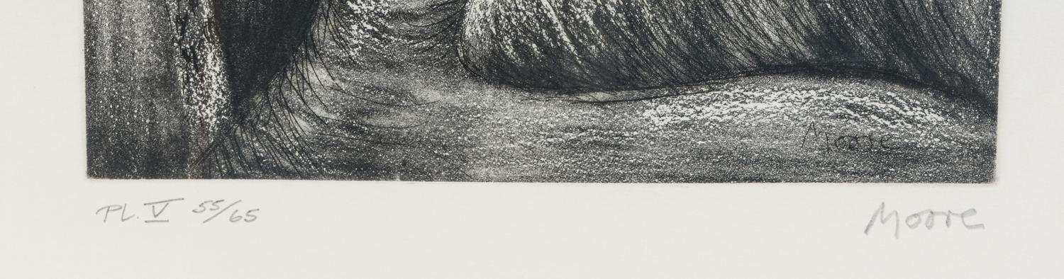 Leopard (Plate V from Animals in the Zoo ), 1981