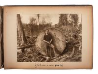 [EARLY PHOTOGRAPHY]. -- [NEW ZEALAND & AUSTRALIA]. A group of 2 albums containing photographs of Watertown, Australia and Gisborne, New Zealand.