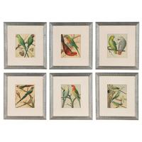 The Illustrated Book of Canaries and Cage-Birds, British and Foreign Cassell & Co., Limited: Six Plates