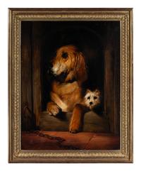 Dignity and Impudence