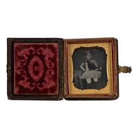 [Early Photography] 2 sixth plate daguerreotypes of young children with their dogs