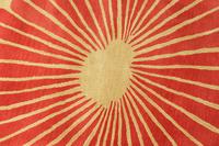 A Contemporary "Sunburst" Design Wool Rug