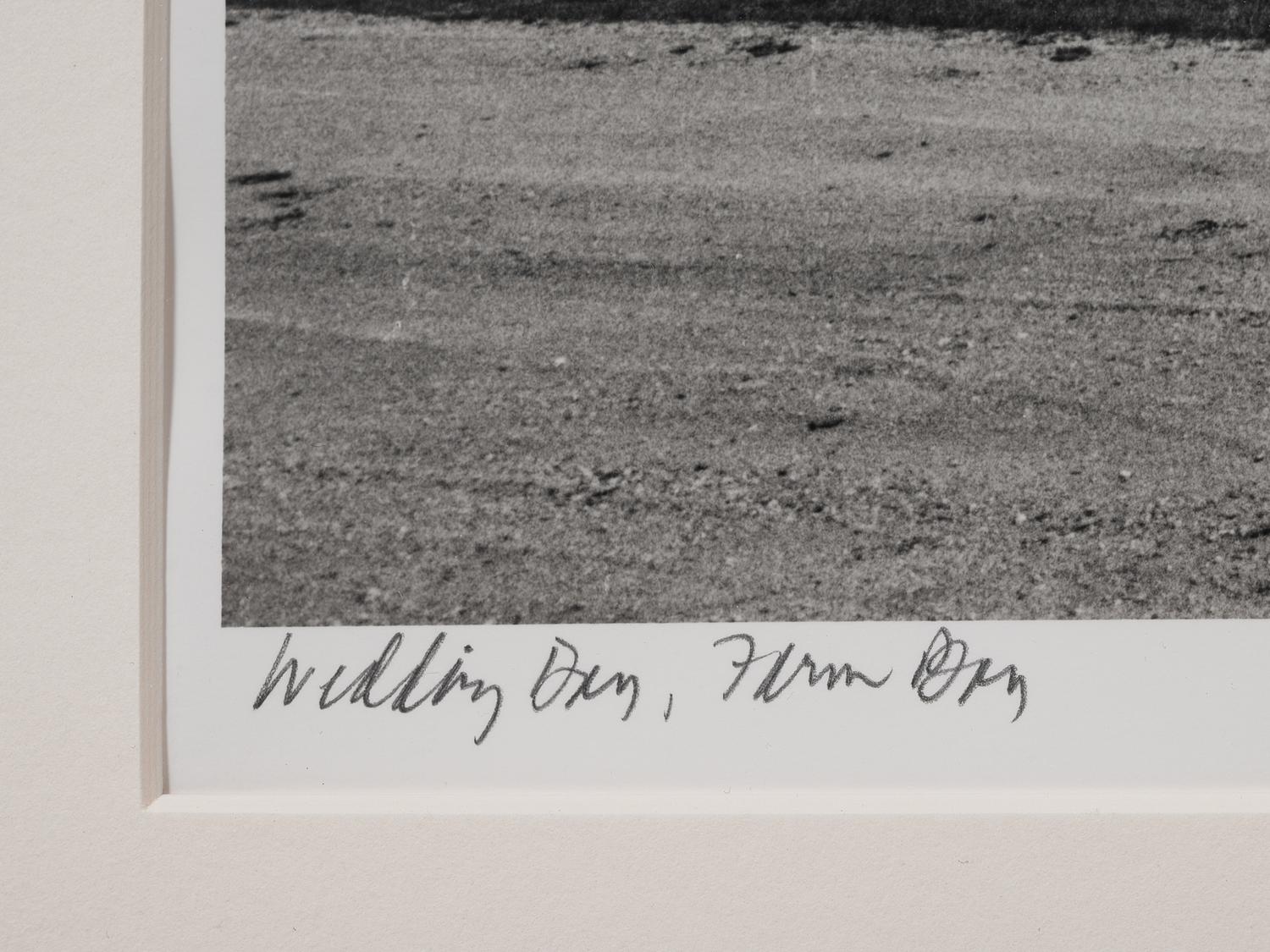 A group of five photographs from the Farm Families Project