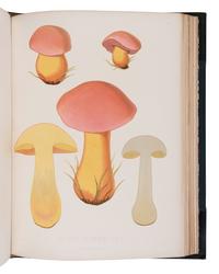 [NATURAL HISTORY]. FRIES, Elias Magnus (1794-1878). Sveriges Ätliga och Giftiga Svampar... Stockholm: H. Klemmings, 1860.