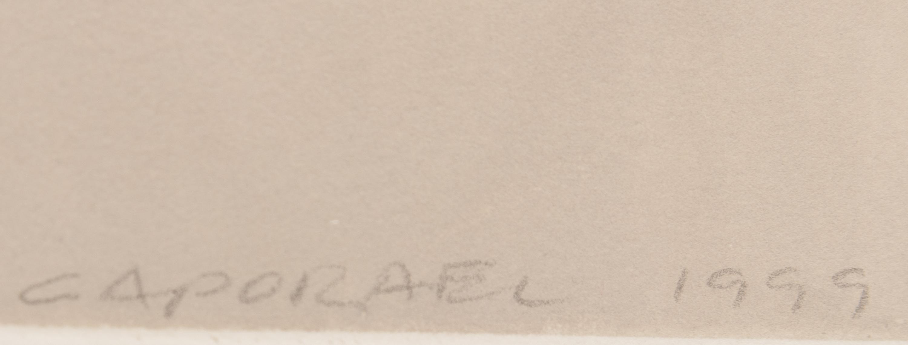 Cobalt Yellow: K, N, O, H, Co (from the Elements of Pigment series)
