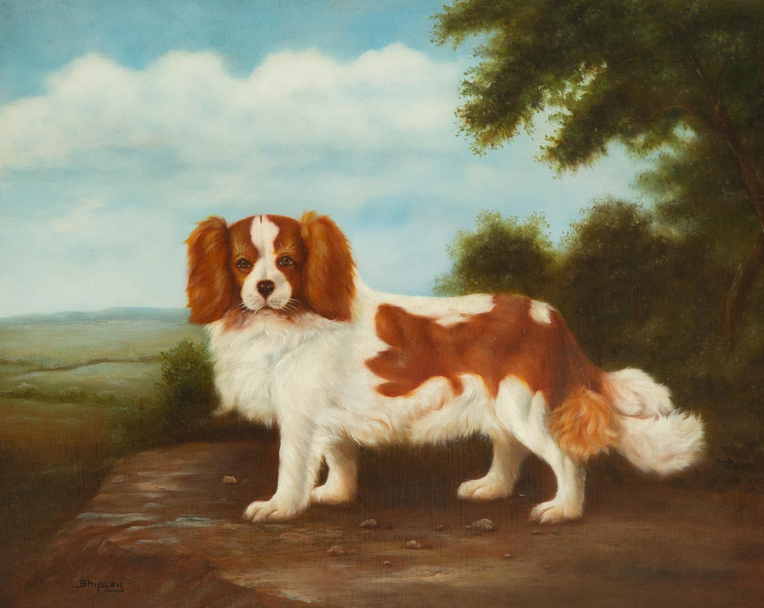 Spaniel in Landscape
