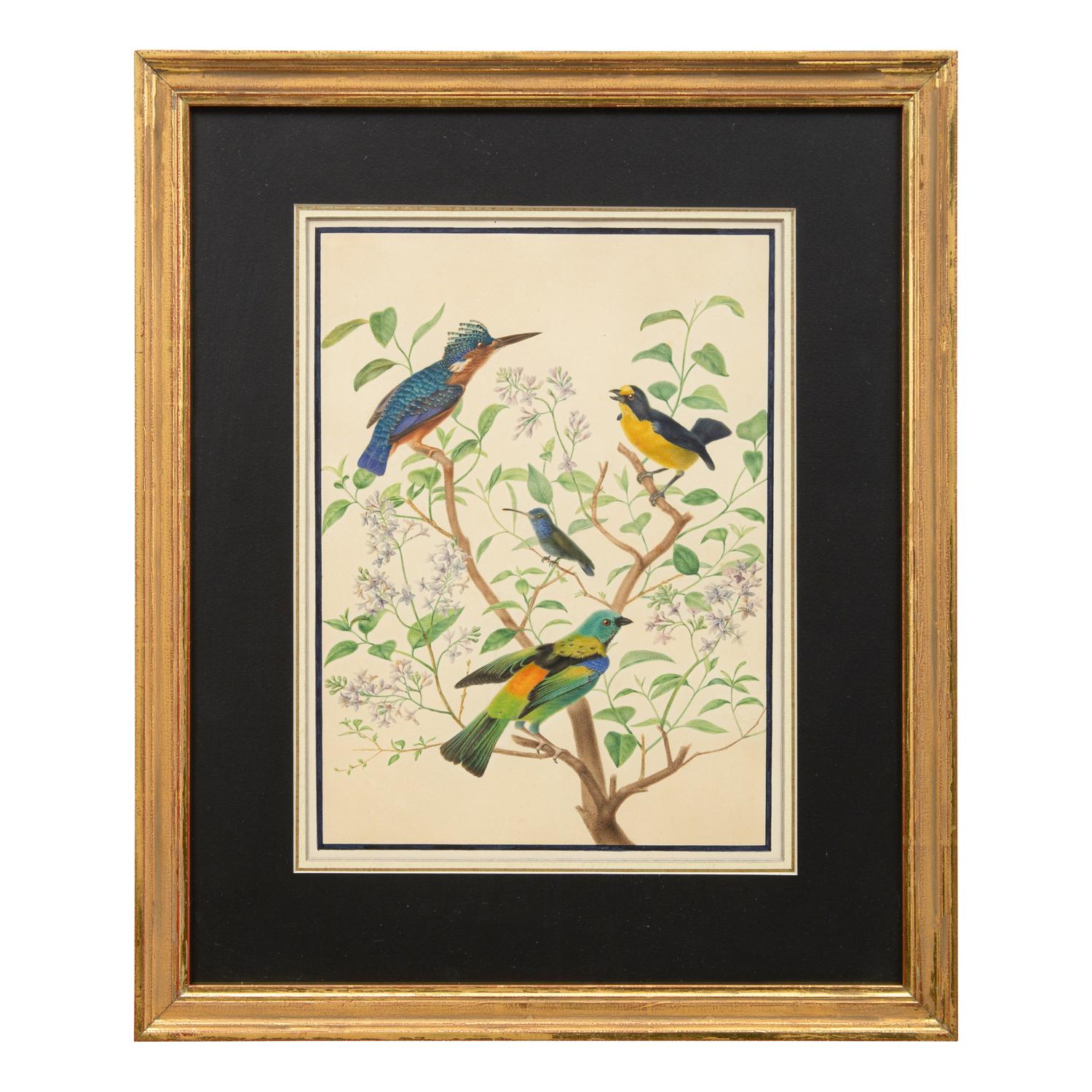 A Group of Three Framed Gouache Illustrations of Birds