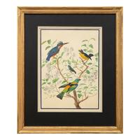 A Group of Three Framed Gouache Illustrations of Birds