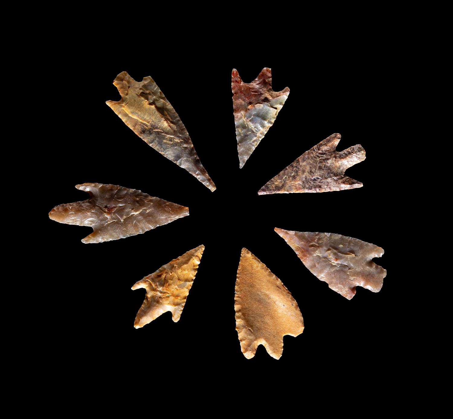 101 Neolithic Flint Points