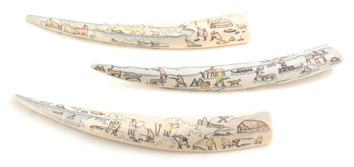 Three Russian Carved Walrus Tusks, Chukchi, Length of longest 18 1/4 inches.
