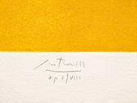 Yellow Flight