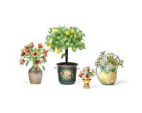 A Collection of Twenty-One French Beaded and Glass Flower and Fruit Arrangements