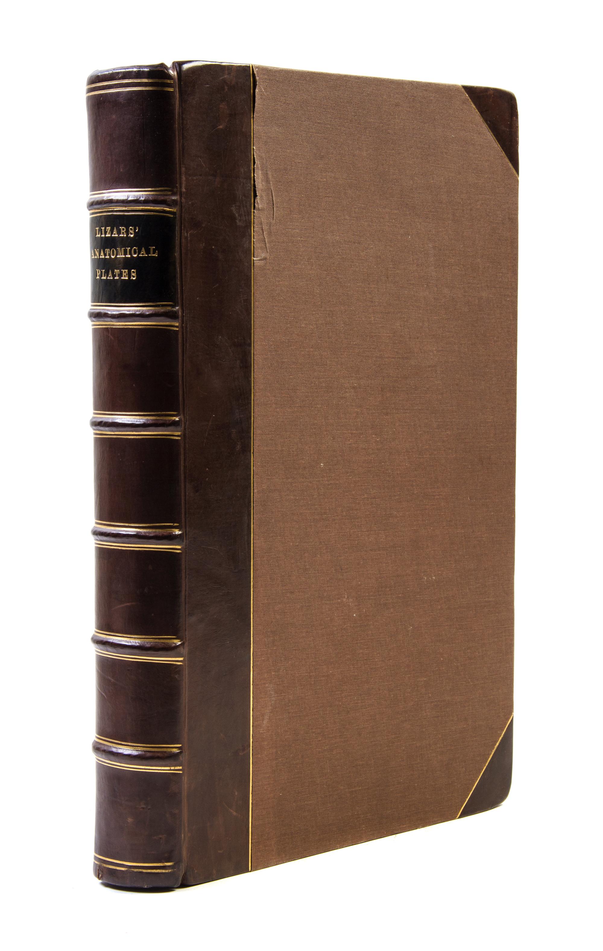 (ANATOMY) LIZARS, JOHN. A System of Anatomical Plates of the Human Body... Edinburgh, n.d. [1857] New edition.