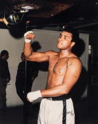 A Group of Boxing Champions Signed Autograph Items Including Muhammad Ali (Beckett Authentication Services Letter)