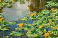 Two Works: Lily Pond and Hobac Marshes