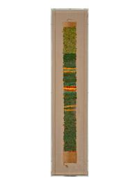A Nazca Feather Belt