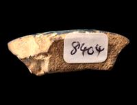 An Egyptian Bichrome-Faience Djed Pillar Fragment with the Cartouche of Amenhotep III