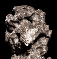 A Chinese Lingbi Scholar's Rock
