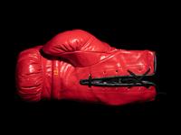 A Muhammad Ali Signed Autographed Everlast Boxing Glove (Right) Sourced Directly from Ali's G.O.A.T. Agency (BAS Beckett Authentication Services Certified),